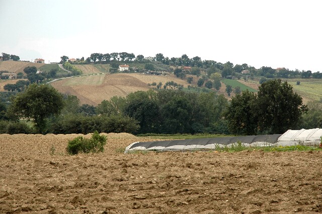 min 2006 08 25 corinaldo 165